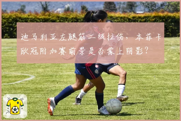 迪马利亚左腿筋二级拉伤,本菲卡欧冠附加赛前景是否蒙上阴影?