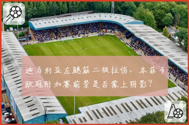 迪马利亚左腿筋二级拉伤,本菲卡欧冠附加赛前景是否蒙上阴影?
