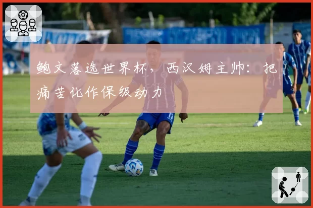 鲍文落选世界杯，西汉姆主帅：把痛苦化作保级动力
